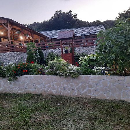 Ieşelniţa Casa Claudiuヴィラ エクステリア 写真