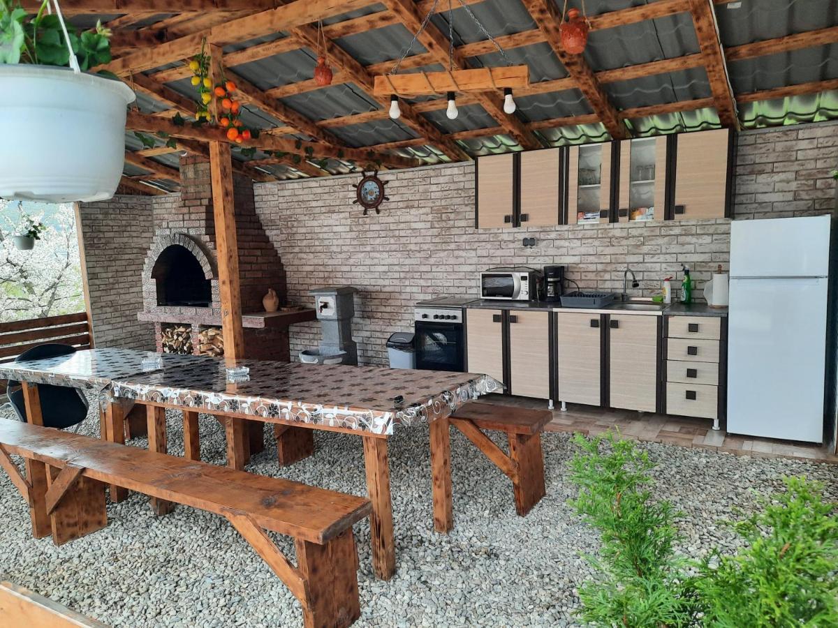Ieşelniţa Casa Claudiuヴィラ エクステリア 写真